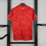 Mens Spain 2024/25 Red Jersey 1