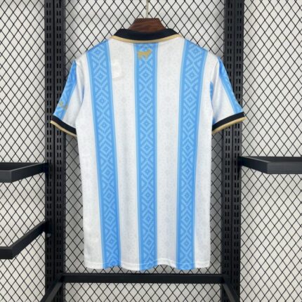 Mens Argentina 2024/25 Jersey 1