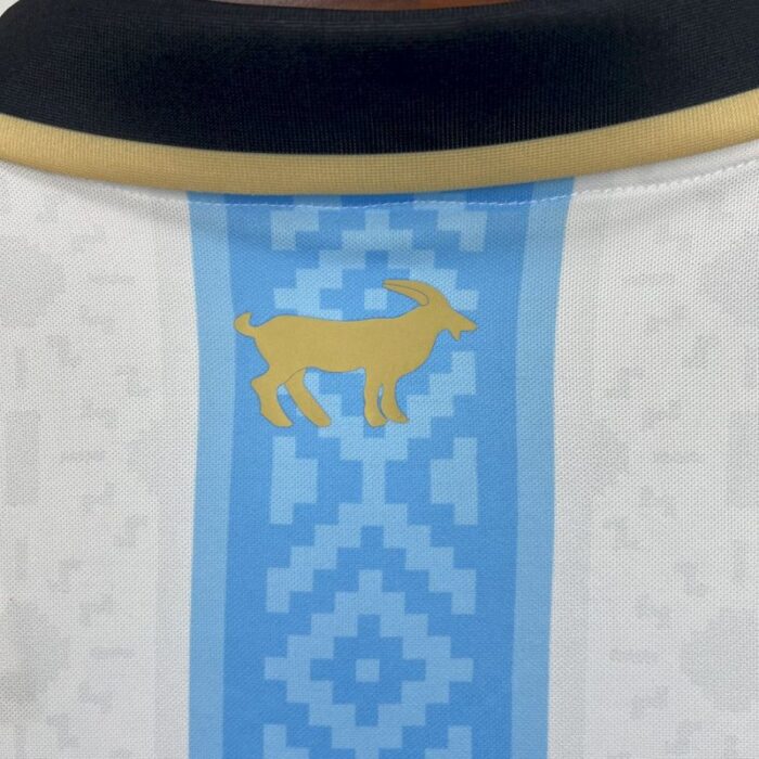 Mens Argentina 2024/25 Jersey 2