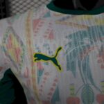 Mens Senegal 2026 World Cup Away Jersey Player Version 10