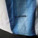 Mens Argentina 2026 World Cup Home Long Sleeve Jersey Player Version 6