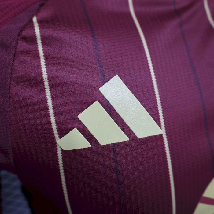 Mens AS Roma 2024/25 Home Jersey Player Version 5