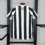 Mens Santos 2024/25 Away Jersey 1