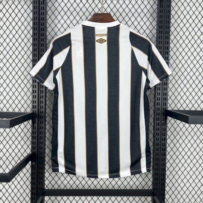 Mens Santos 2024/25 Away Jersey 1