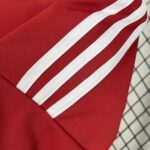Mens Stade Brestois 29 2024/25 Home Jersey 2