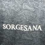 Mens Napoli 2024/25 Third Jersey 8