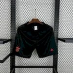 Mens Benfica 2024/25 Away Shorts