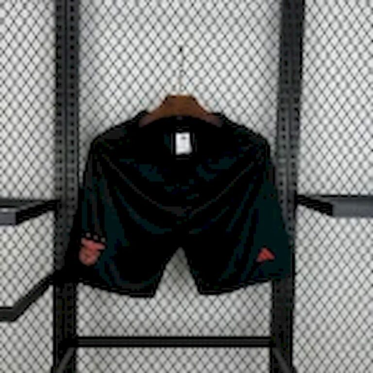 Mens Benfica 2024/25 Away Shorts