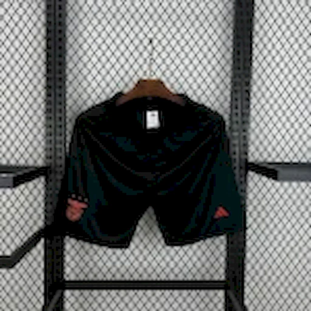 2025050620323281.jpg Mens Benfica 2024/25 Away Shorts