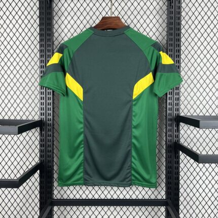 Mens Celtic 2024/25 Jersey 1
