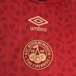 Mens AFC Bournemouth 2024/25 Red Jersey 2