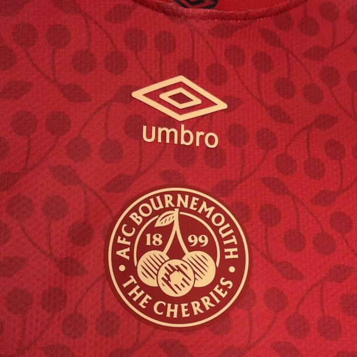 Mens AFC Bournemouth 2024/25 Red Jersey 2