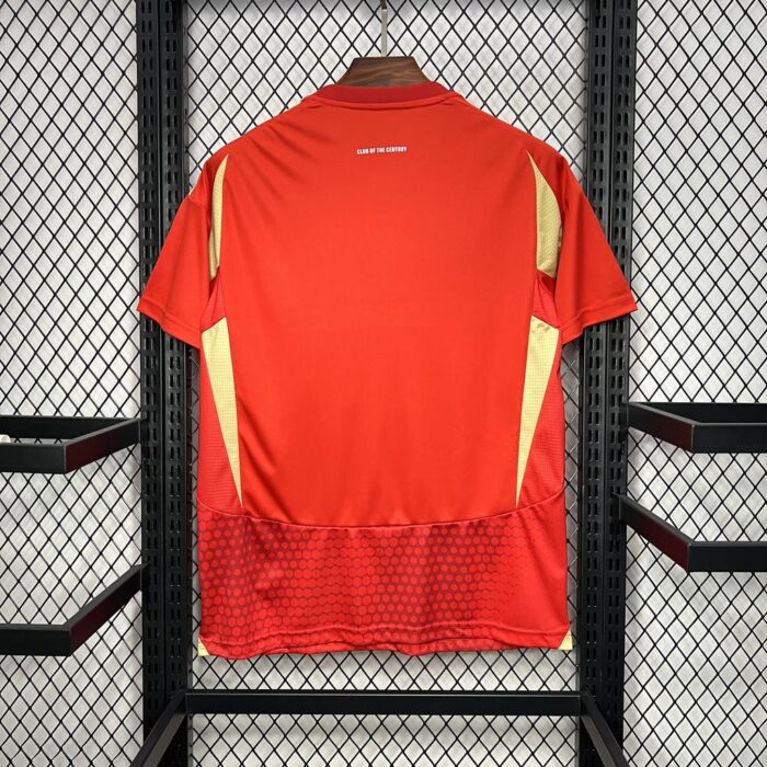 Mens El Ahly 2024/25 Home Jersey 1