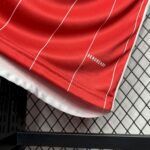 Mens Colo Colo 2024/25 Third Jersey 3