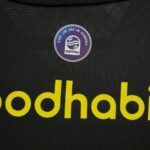 Mens PSV Eindhoven 2024/25 Away Jersey 2