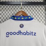 Mens PSV Eindhoven 2024/25 Third Jersey 5