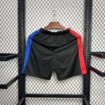 Mens Barcelona 2024/25 Away Shorts 1