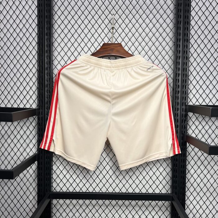 Mens Bayern Munich 2024/25 Third Shorts 1