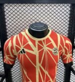 Mens Bayern Munich 2024/25 Jersey Player Version 2