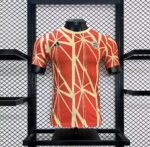 Mens Bayern Munich 2024/25 Jersey Player Version