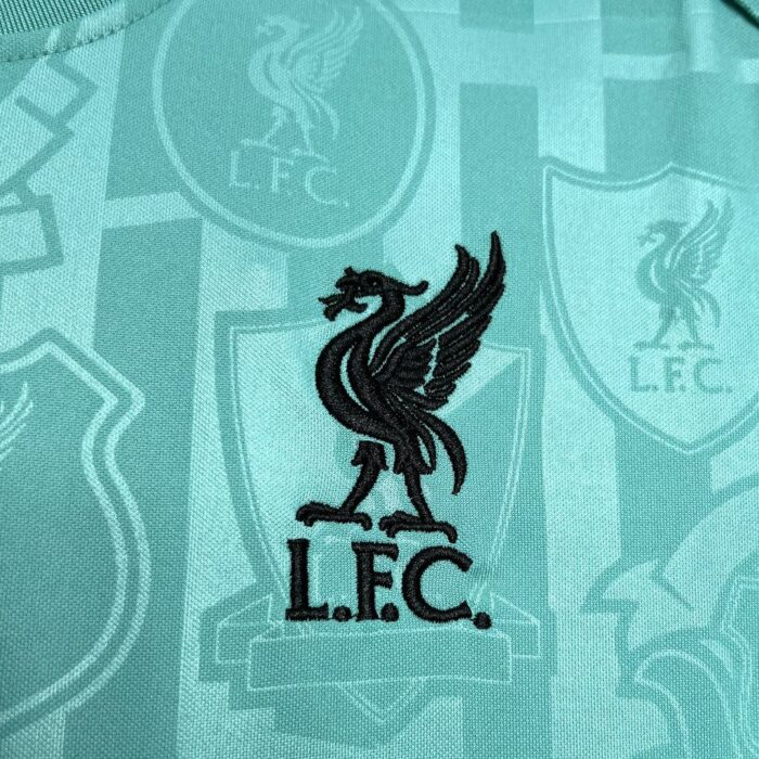Mens Liverpool 2024/25 Pre-Match Jersey 2
