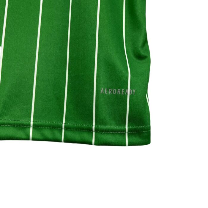 Mens Celtic 2024/25 Commemorative Edition Jersey 6
