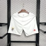 Mens Benfica 2024/25 Home Shorts