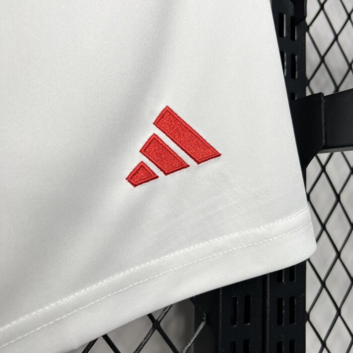 Mens Benfica 2024/25 Home Shorts 2