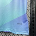 Mens Arsenal 2024/25 Third Jersey 2