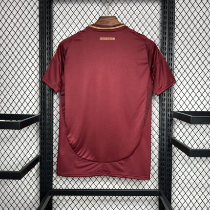 Mens AS Roma 2024/25 Home Jersey 1