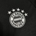 Mens Bayern Munich 2024/25 Pre-Match Jersey 3