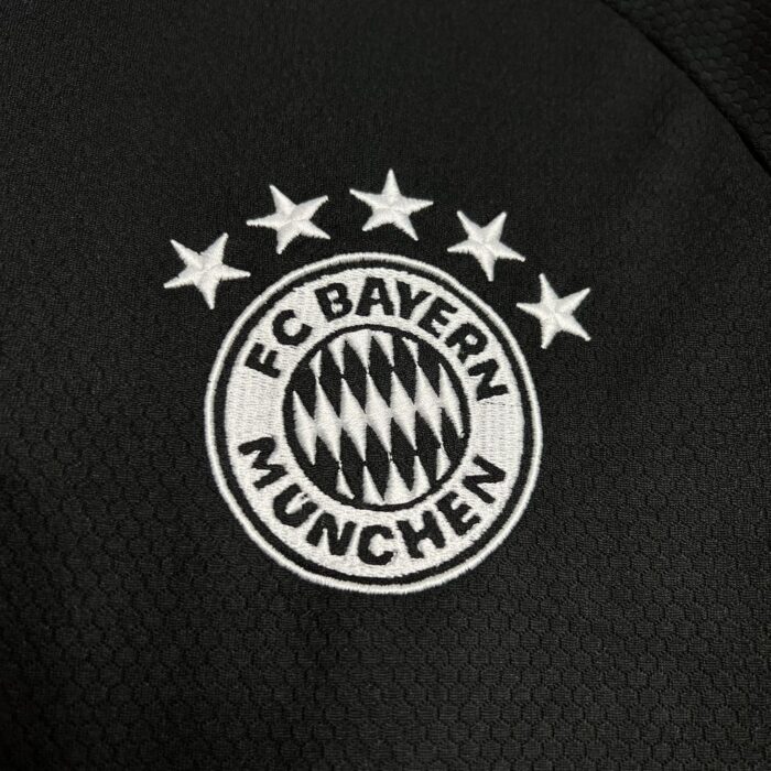 Mens Bayern Munich 2024/25 Pre-Match Jersey 3