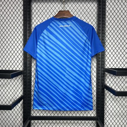 Mens Dinamo Zagreb 2024/25 Home Jersey 1