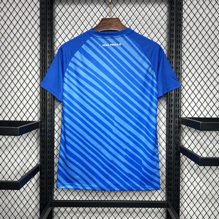 Mens Dinamo Zagreb 2024/25 Home Jersey 1