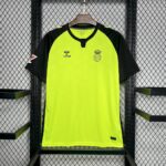 Mens Real Betis 2024/25 Away Jersey 10