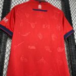 Mens CA Osasuna 2024/25 Home Jersey 2