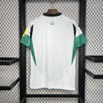 Mens Newcastle United 2024/25 Third Jersey 1