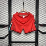 Mens South Korea 2024/25 Home Shorts