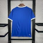 Mens Cardiff City F.C. 2024/25 Home Jersey 1