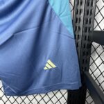 Mens Ajax 2024/25 Away Shorts 2