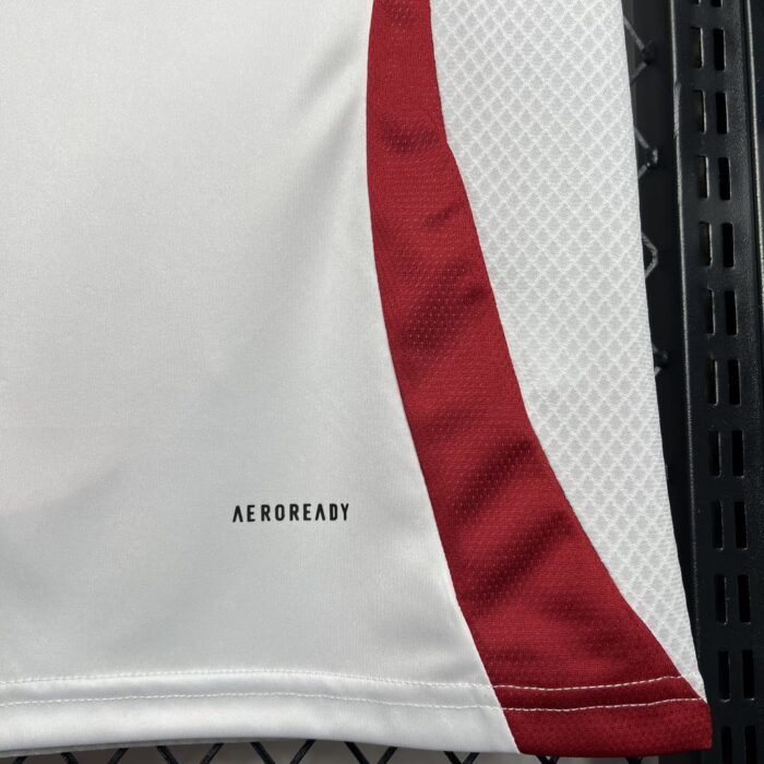 Mens Japan 2024/25 Away Jersey 5