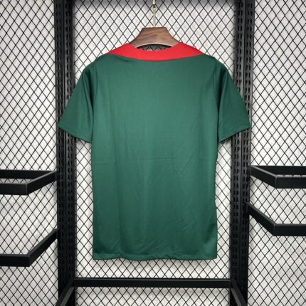 Mens Liverpool 2024/25 Pre-Match dark green Jersey 1