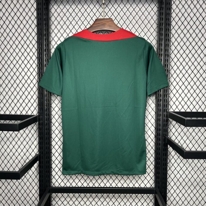 Mens Liverpool 2024/25 Pre-Match dark green Jersey 1