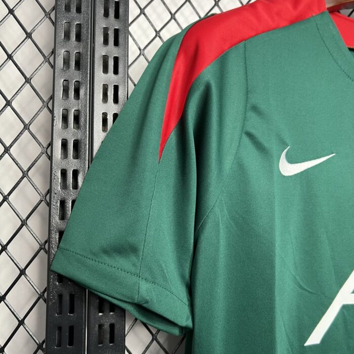 Mens Liverpool 2024/25 Pre-Match dark green Jersey 3