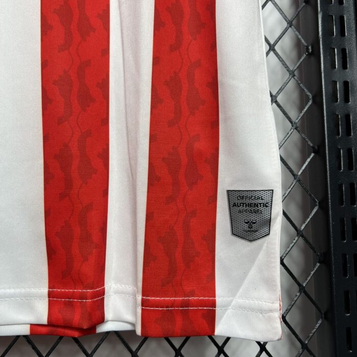 Mens Sunderlandl 2024/25 Home Jersey 3