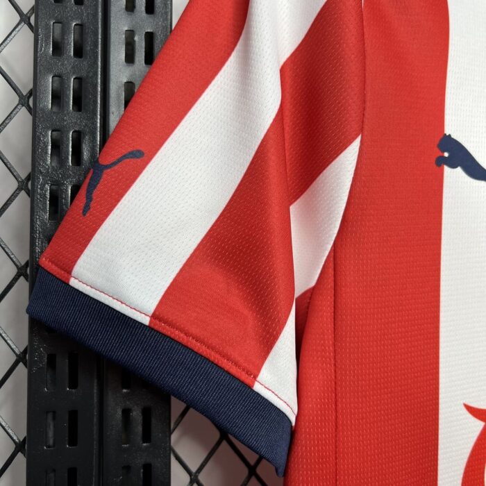 Mens Chivas 2024/25 Home Jersey 2
