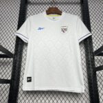 Mens Panama 2024/25 Away Jersey 3