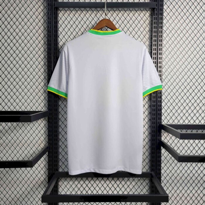 Mens Brazil 2022/23 Pigeon Jersey 1