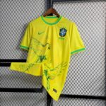 Mens Brazil 2022/23 Pigeon Jersey 4