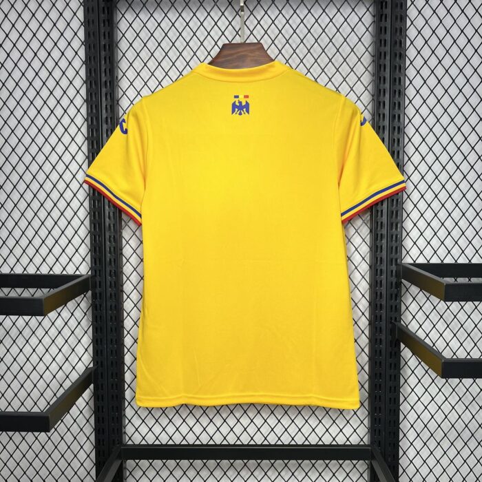 Mens Romania 2024/25 Home Jersey 1